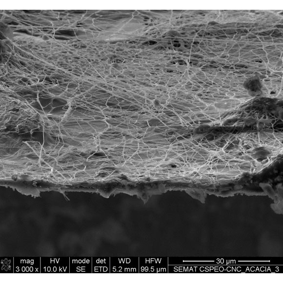 Rede de Nanofibras